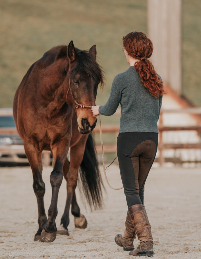 Bodenarbeit am Kappzaum