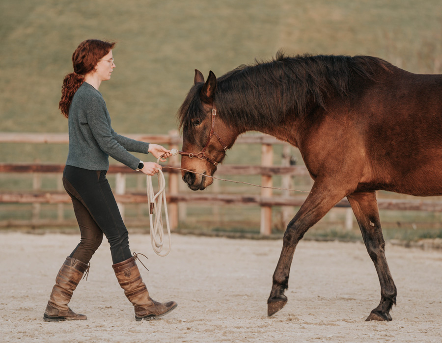 Bodenarbeit am Kappzaum