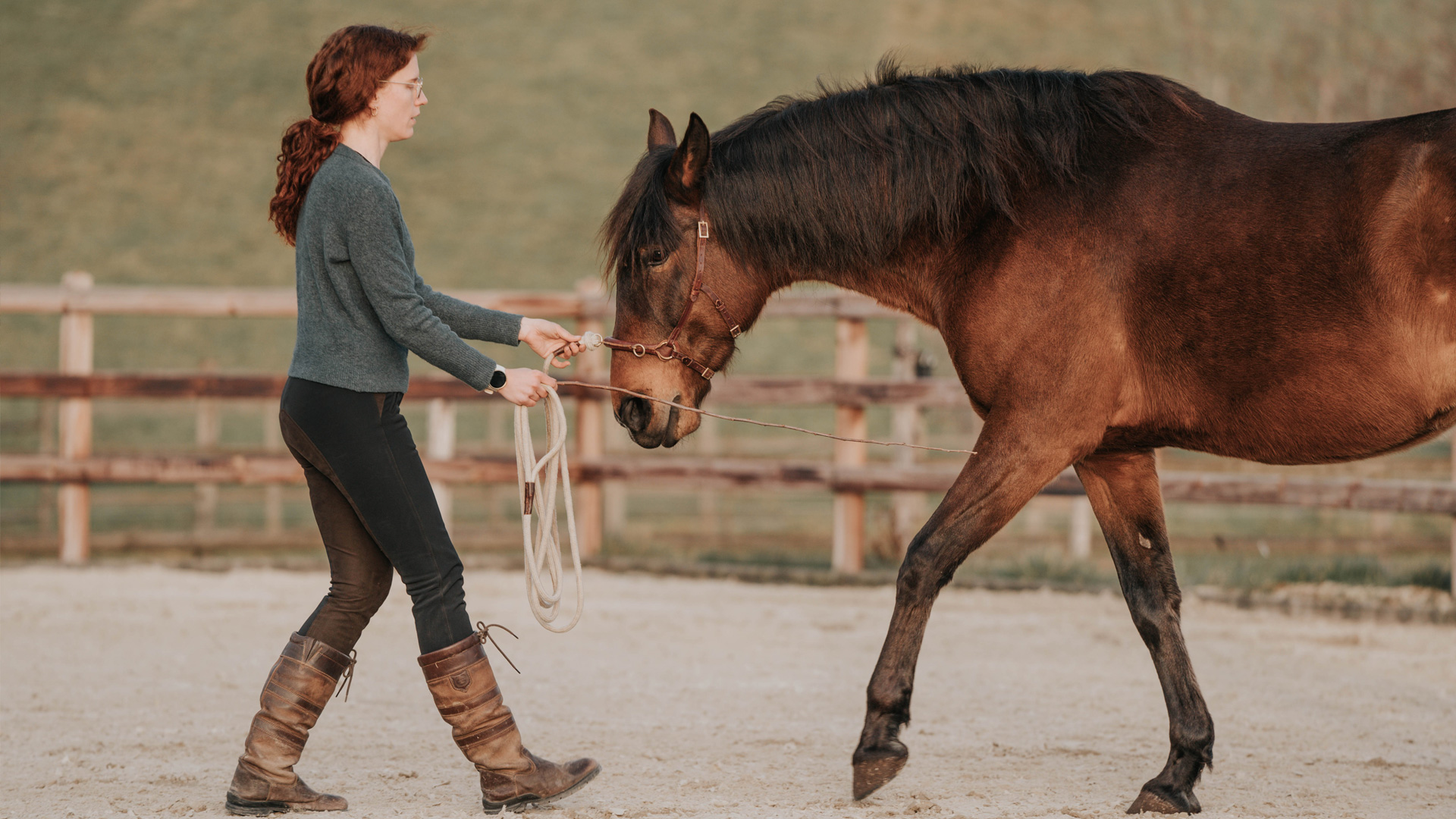 Bodenarbeit am Kappzaum